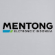 MENTONG.LISU