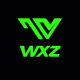 WXZ Technology