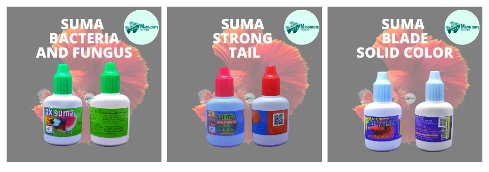 SUMA Betta Thailand Grooming Vitamin and Medicine 12mL | Lazada PH