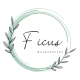 Ficus Accessories