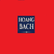 VienthongHoangBach
