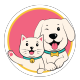 CutePets - Petshop Hà Nội