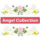 ANGEL CLCT