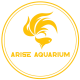 ARISE AQUARIUM