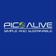 Pico Alive Store