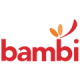 Bambi Baby Care