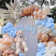 Mèo - BaBy