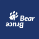 Bruce Bear Shop