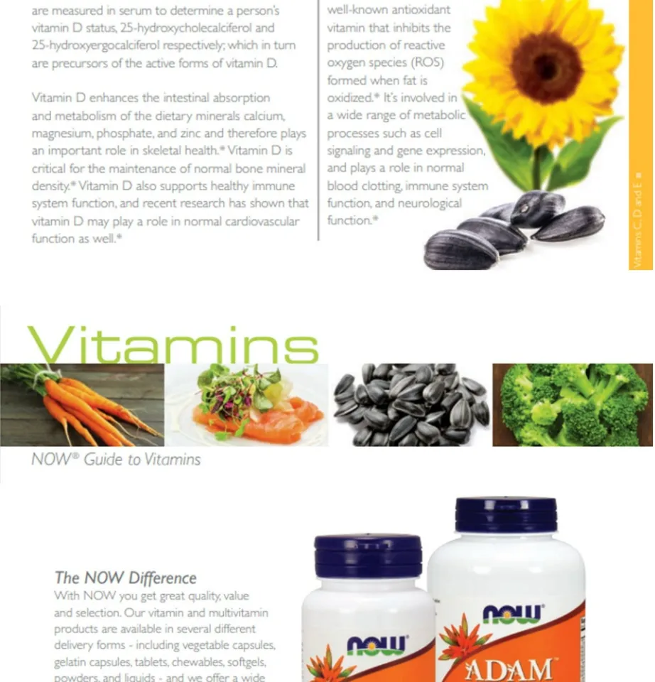 Jual Now Foods Daily Vits Multi Vitamin And Mineral With Lutein Lycopene 100 Tablets - View #2