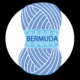Bermuda shop II