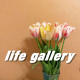 Life Gallery