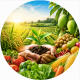 FarmGrow