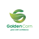 golden_corn