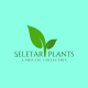 Seletar_Plants
