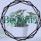 BEGONIA