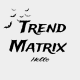 เมทริกซ์แนวโน้ม