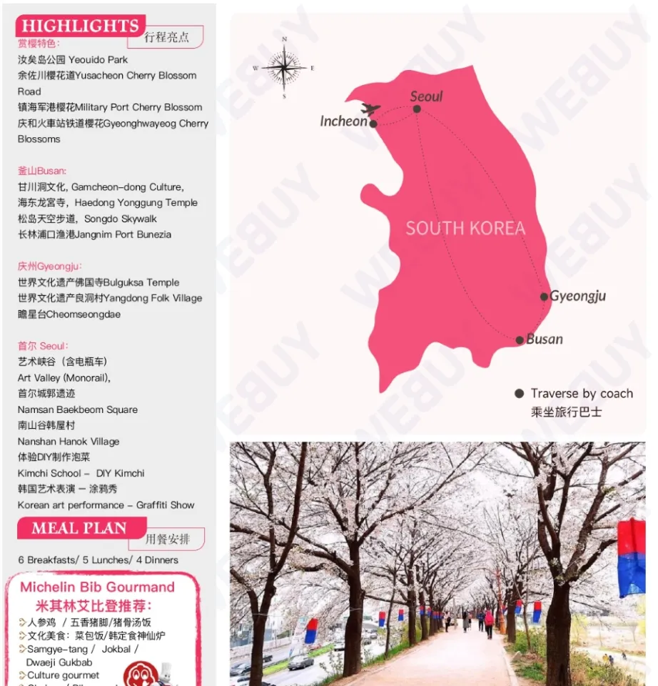 Travel with WEBUY] 8D6N SIGNATURE OF KOREA and BUSAN | Lazada Singapore