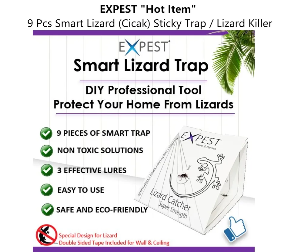 9 Pcs Lizard (Cicak) Sticky Trap / DIY Lizard Killer