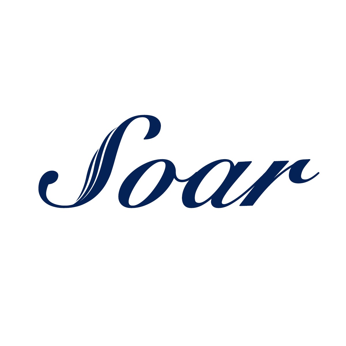 โลโก้ร้าน SoarThailand