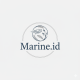 Marine.id