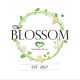 The Blossom