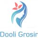 DooLi Grosir