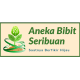 Aneka Bibit Seribuan