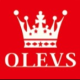 OLEVS Watches Store