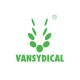 VansydicalSport