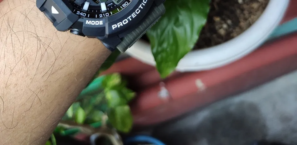 New mudmaster online 2021