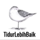 TidurLebihBaik