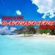 Daboribo_Store