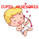 CUPID_AKSESORIS