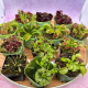 Small World Online Store