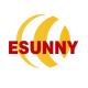 ESUNNY AUTO