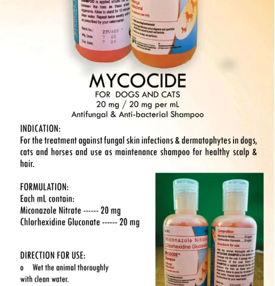 Mycocide shampoo for dogs best sale