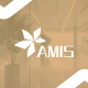AMIS store