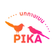 PIKA MAll STORE