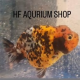 HF AQUARIUM SHOP