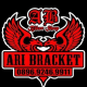 ARI BRACKET (AWS)