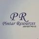 Pintar Resources