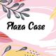 Plaza case