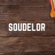Soudelor Authorize Store
