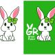 Green Rabbit