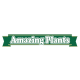 Amazing Plants