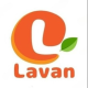 Lavan
