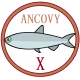 AnchovyX