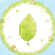 Cedar PH