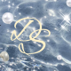 derRisa_store