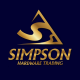 SIMPSON HARDWARE DIY